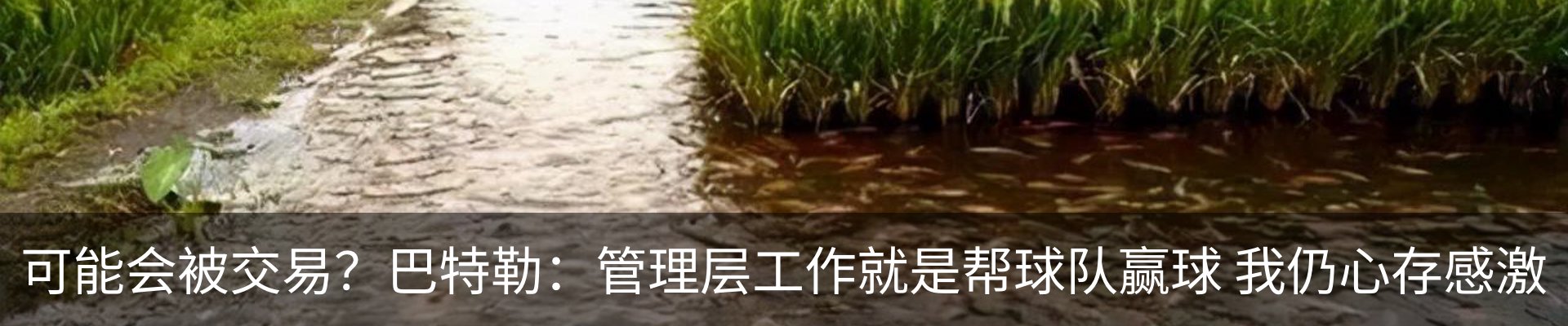 资讯中心