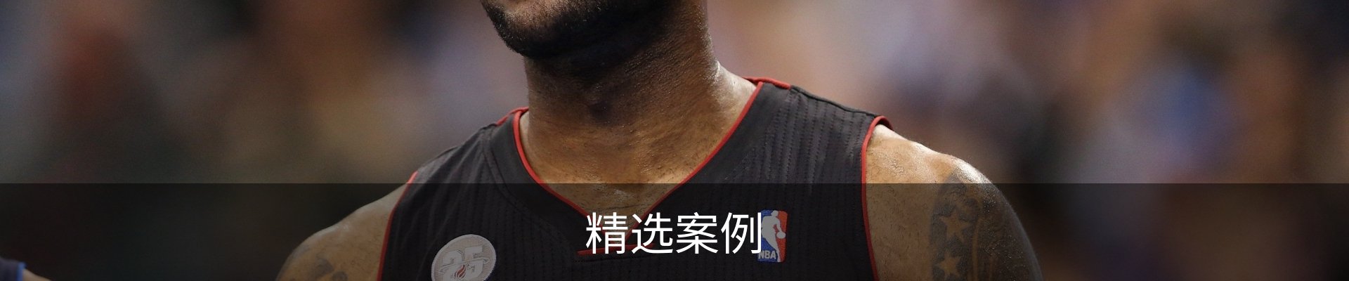 精选案例